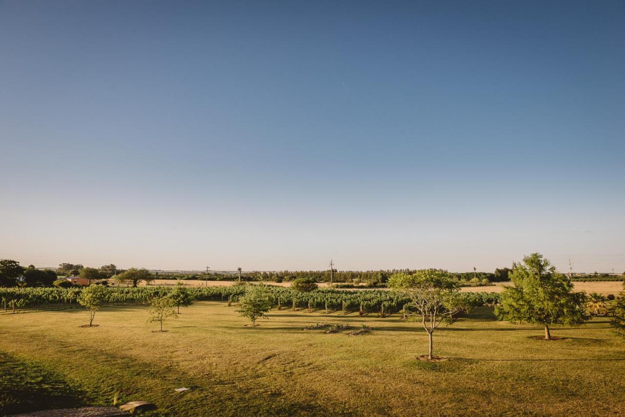 El Legado Wine Lodge Кармело Экстерьер фото