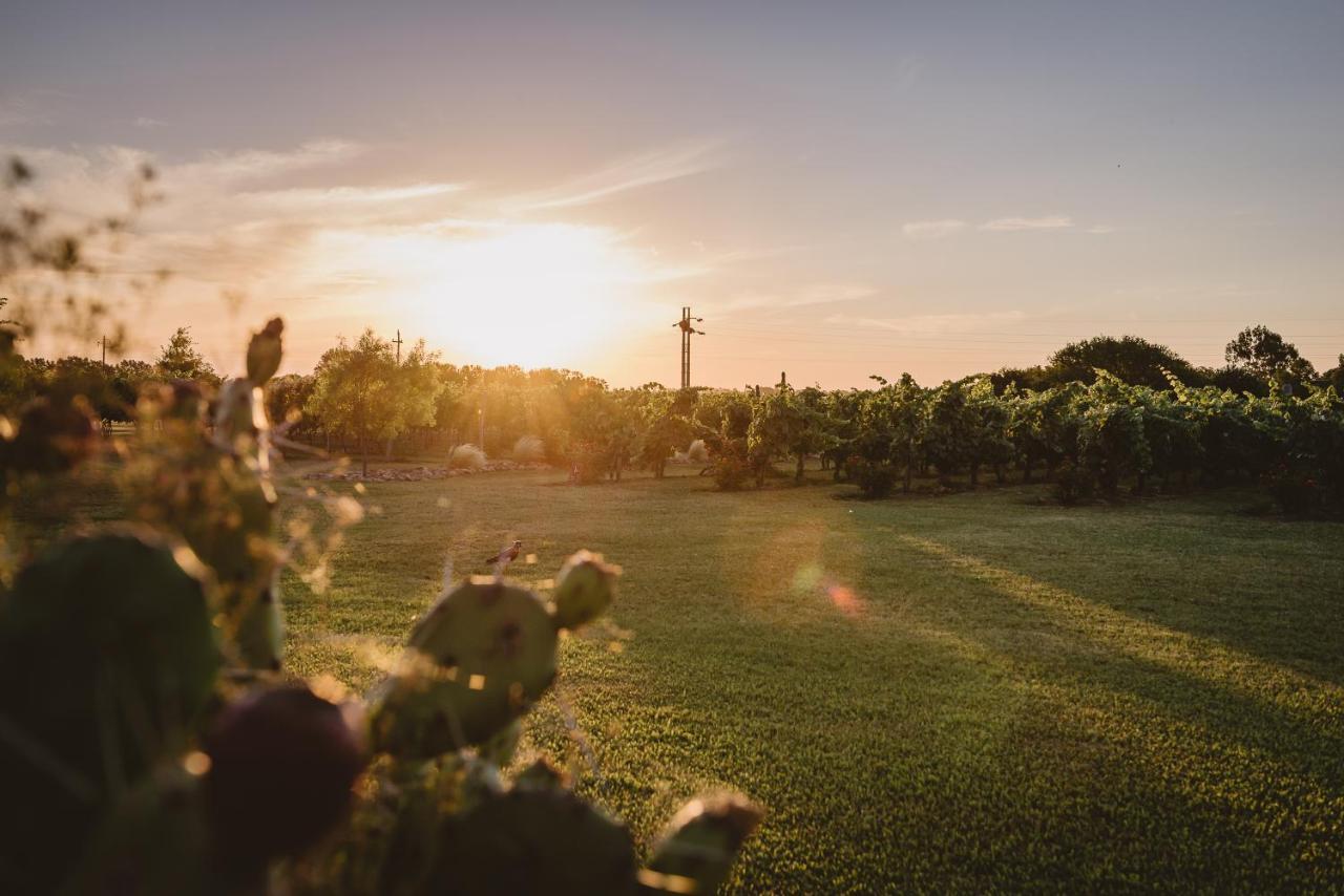 El Legado Wine Lodge Кармело Экстерьер фото
